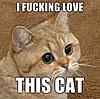Click image for larger version. 

Name:	1336806718303.jpg 
Views:	45 
Size:	19.9 KB 
ID:	2816