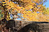 Click image for larger version. 

Name:	IMG_1586.jpg 
Views:	59 
Size:	255.3 KB 
ID:	3044