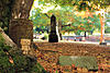Click image for larger version. 

Name:	IMG_1621.jpg 
Views:	49 
Size:	315.2 KB 
ID:	3076